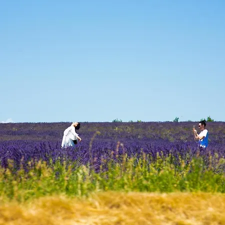 De Venascle 穆斯捷-圣玛丽