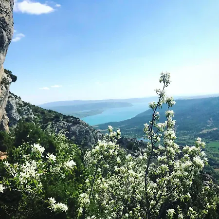 宾馆 De Venascle *