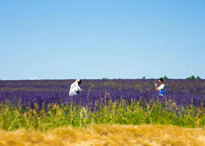 De Venascle Moustiers-Sainte-Marie