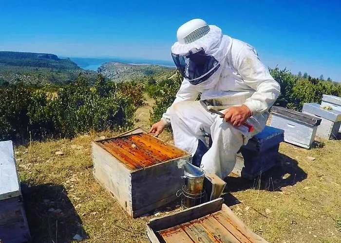 De Venascle Zajazd *