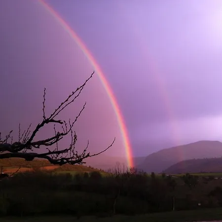De Venascle אורחן מוסטיה-סן-מארי