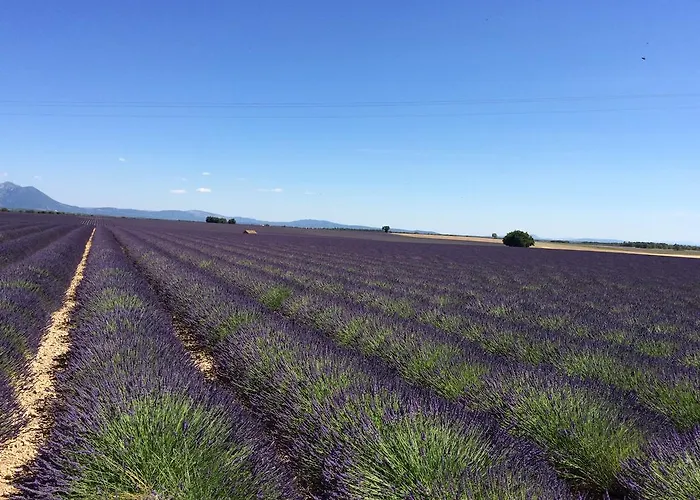 Mini-hôtel De Venascle *